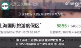 网红迪士尼最新爆料,网红揭秘隐藏版秘密与惊喜