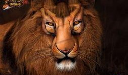 狮子最新爆料,娱乐圈幕后真相大曝光！