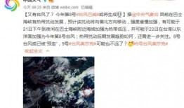 杭州高温最新爆料,酷暑来袭，城市热浪滚滚