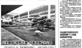 石家庄银行爆料最新消息,揭秘重大金融动态与影响